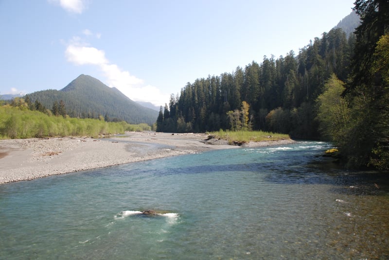 Quinault River