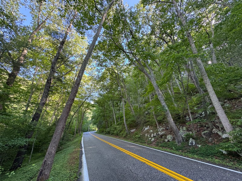 Road thru goshen