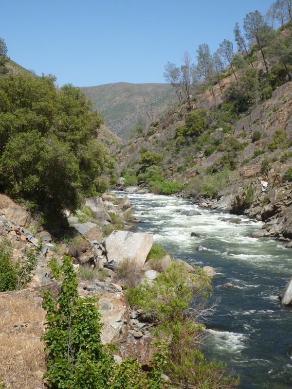 1/4 Mile Rapid 
