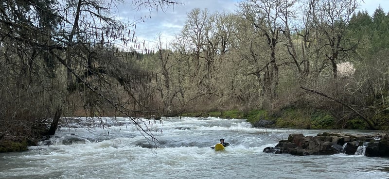 Blackwell Rapid