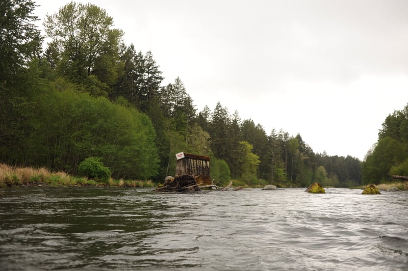 Old Bridge Pilings
