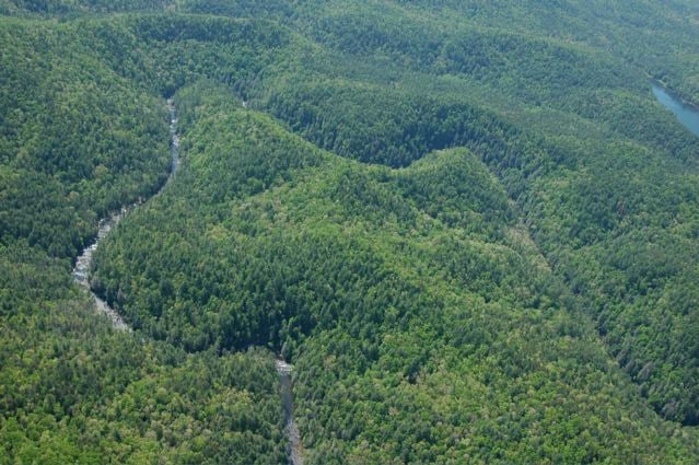 Chattooga Section 1