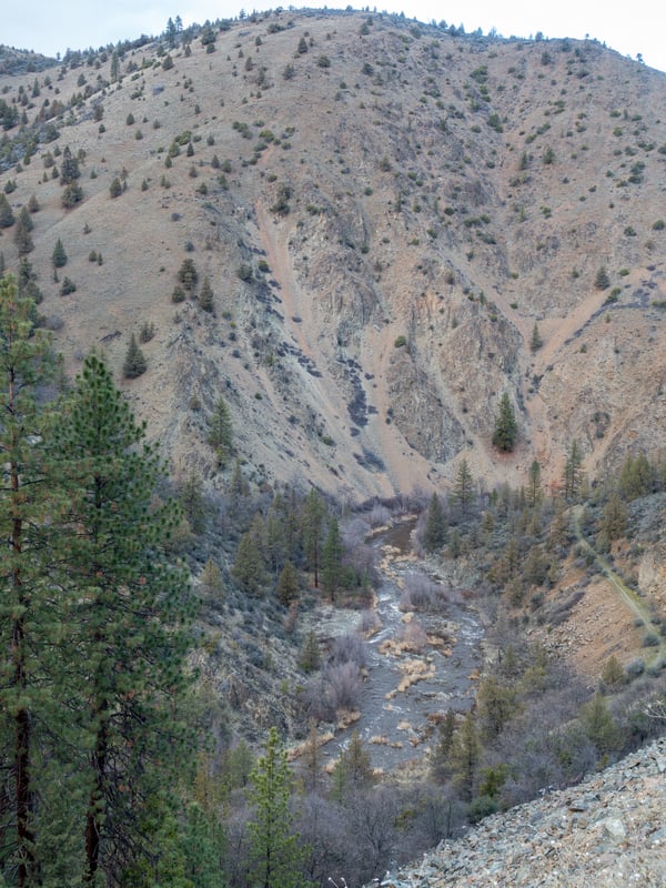 Shasta River at 350 cfs