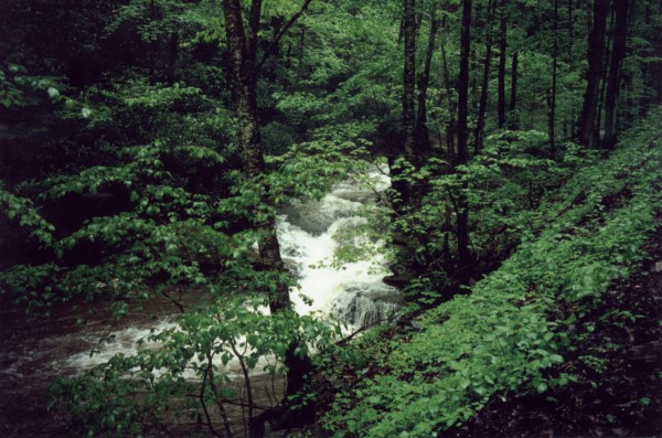White's Run, Biggest Drop (from below)