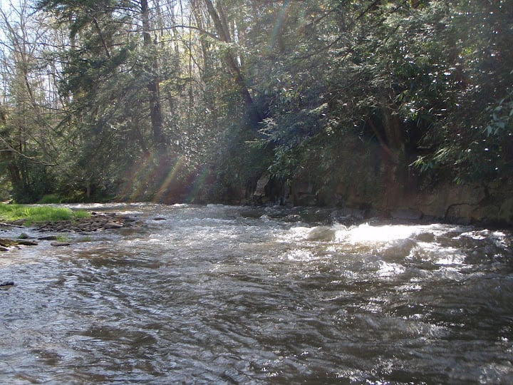 Glady Fork