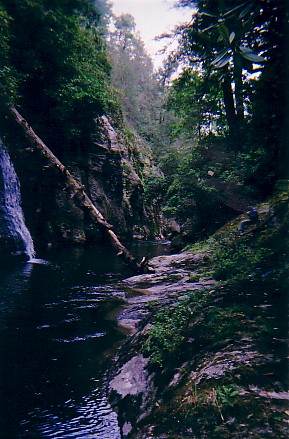 Sec. 00 Gorge