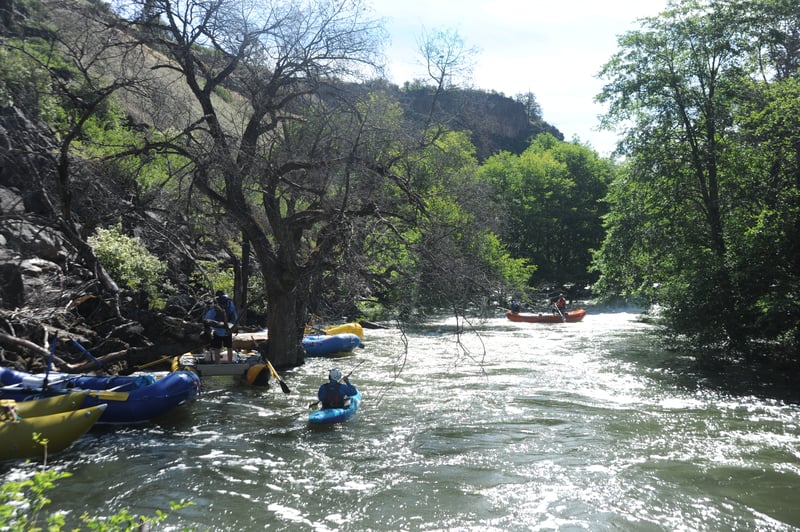 Wards Canyon Start