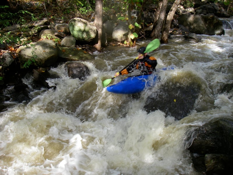 Big Rocky Run into Cub Run