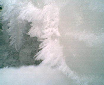 Root River Ice (#8)