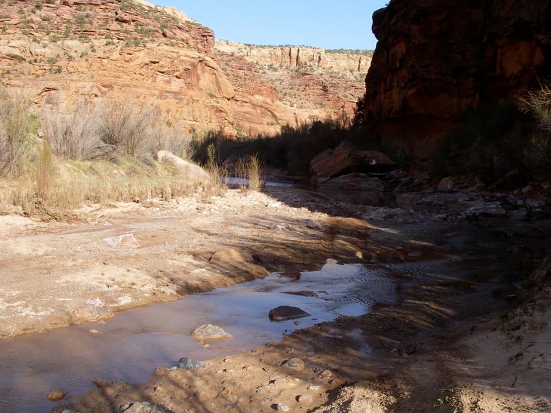 Dolores River Canyon