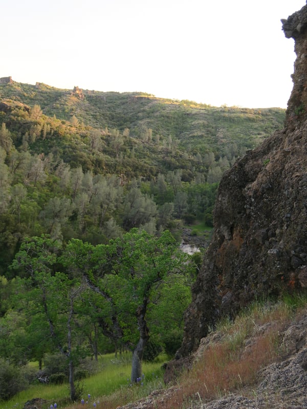 View of Antelope Creek from above camp