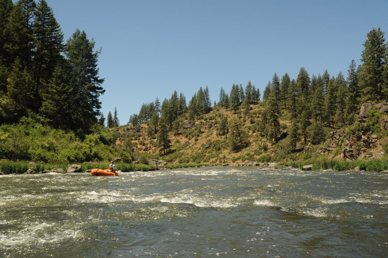 Rapids on the Keno Reach