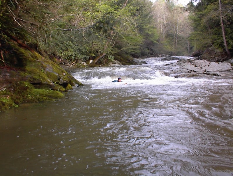 James Locke swimming