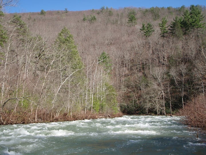 Anthony Creek