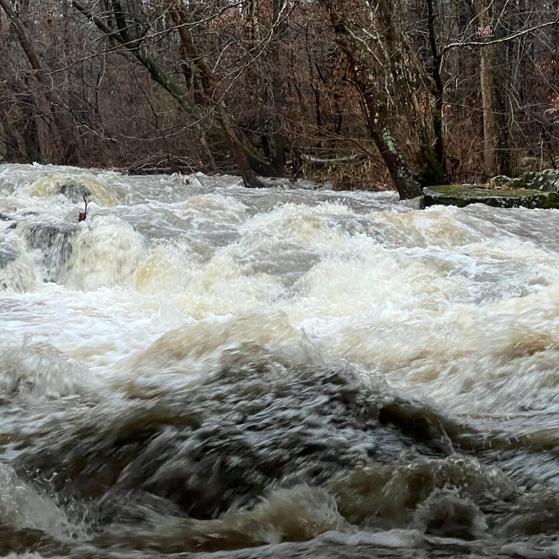 Beaver Creek @ Bull Road
