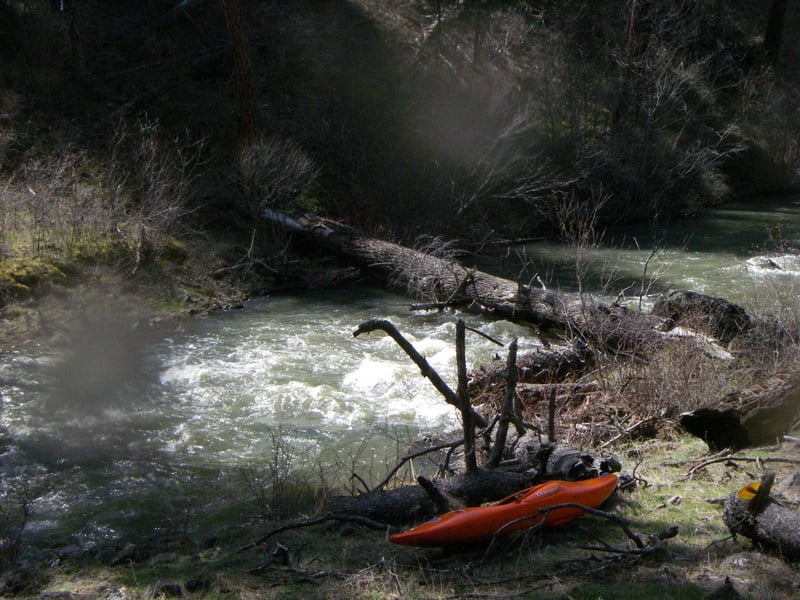 Log on Joseph Creek