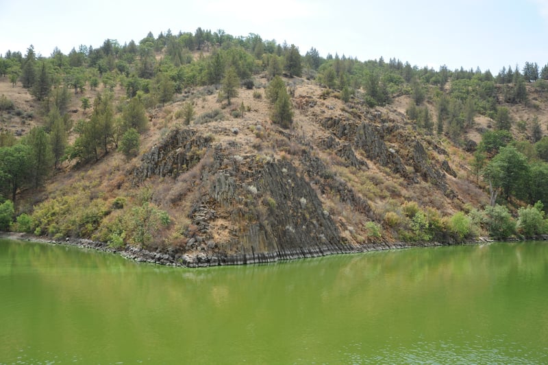 Basalt Pinch Algal Bloom