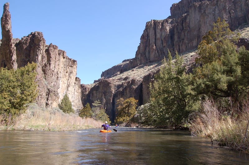 Near the botton of the West Fork Bruneau