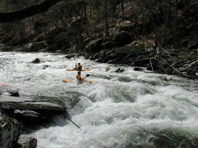 Lower Tellico