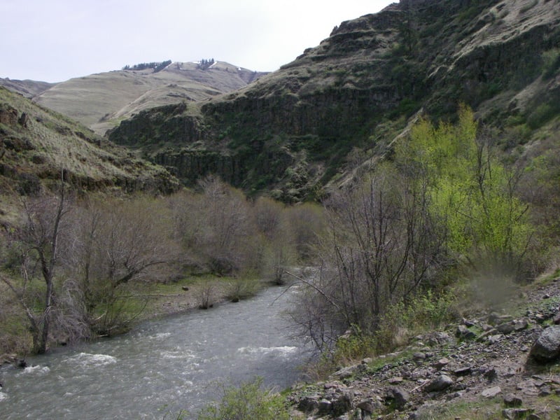 Typical Scenery along Joseph Creek