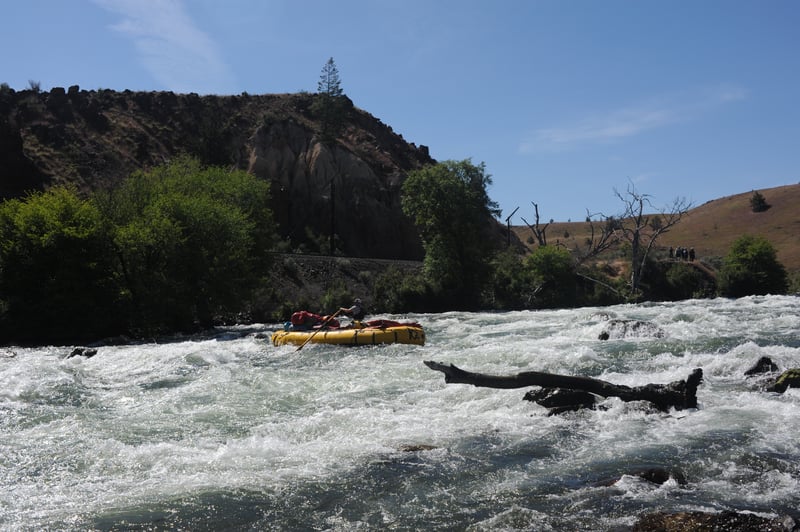 Whitehorse Rapid Upstream View