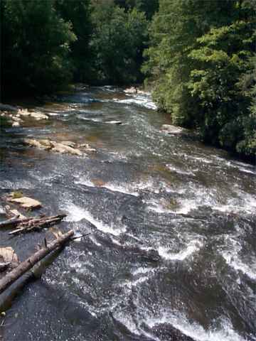 Margret Drifts below the bridge