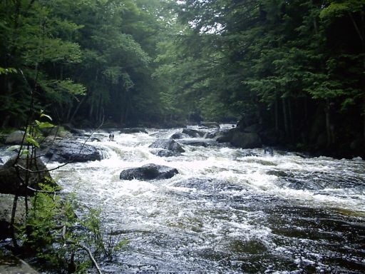 Drop 4A in Warner Gorge