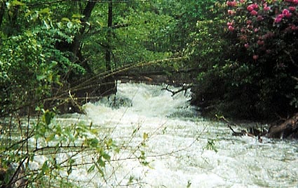 (RM) Log filled portage