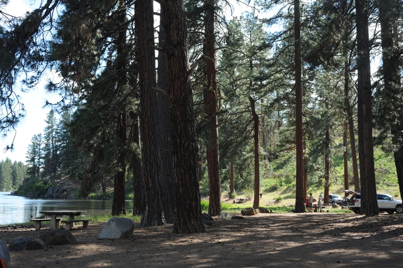 Pioneer Park West Day Use Area