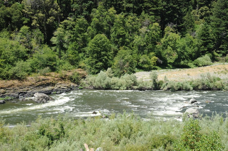 Frog Rock Rapid