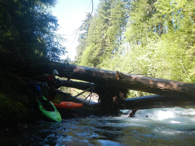 Wood Portage in First Gorge