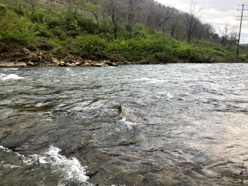  on Howard Creek @Hart Run to Confluence of the Greenbrier River