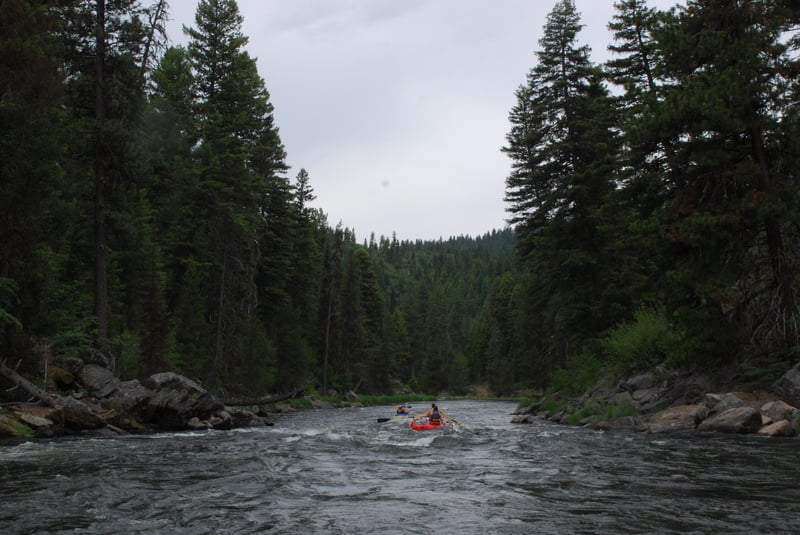 Forested River Corridor