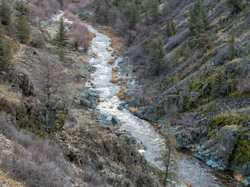 Shasta River at 350 cfs