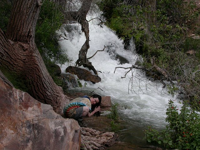 Tapeats Creek @ Thunder river
