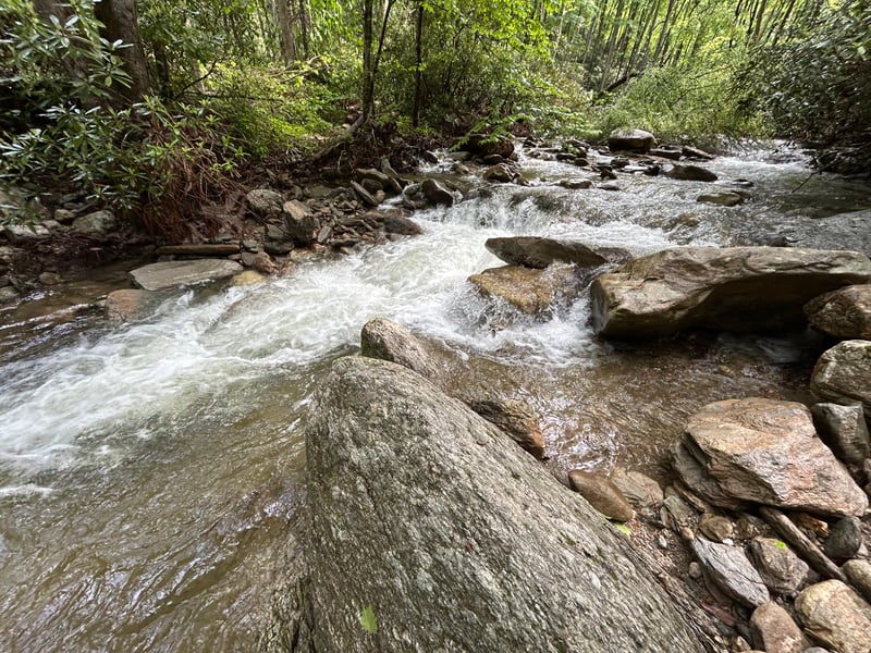 Rapid on Thunderhole Creek