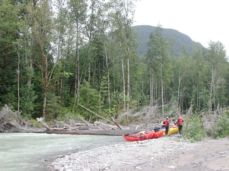 Portaging Log Hazards