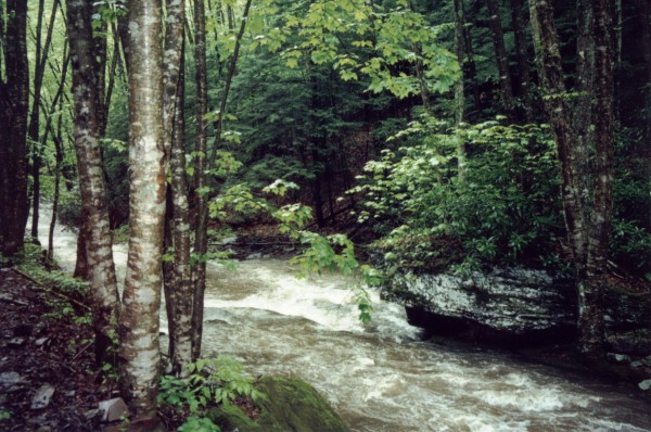 White's Run, Ledge Hole