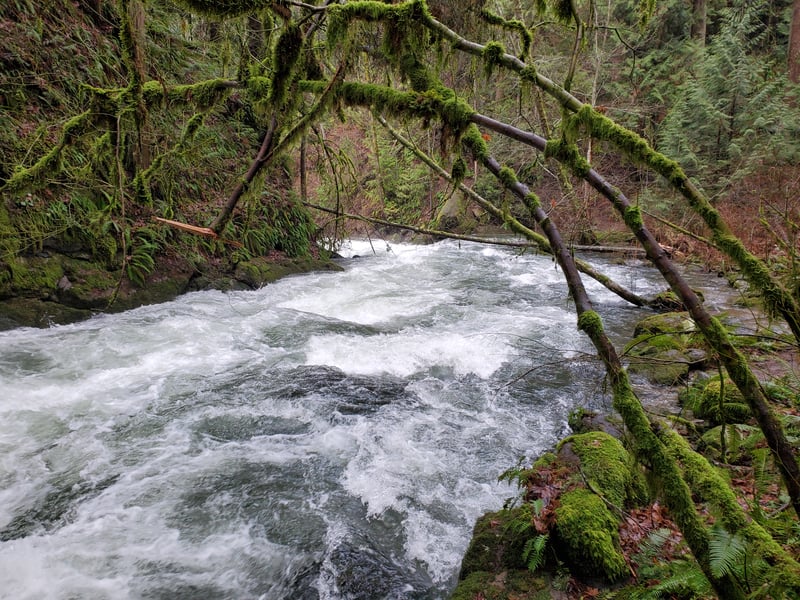 Approch to Maneater