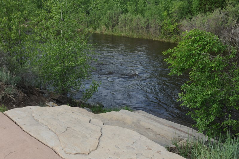 Shields Street River Access Shoreline