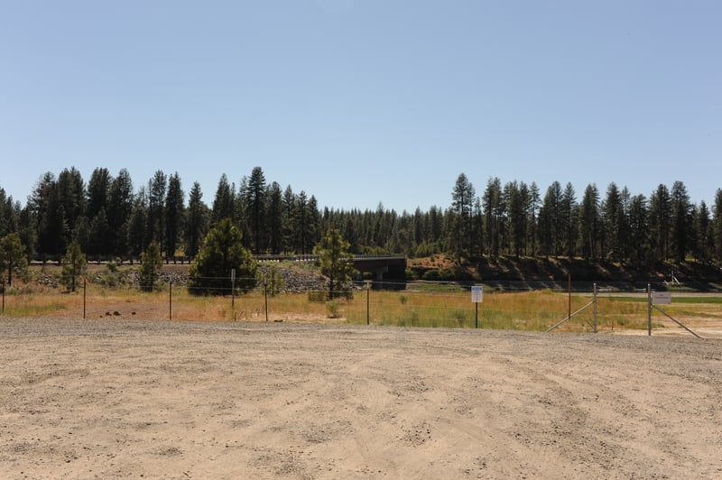 Pioneer Park East