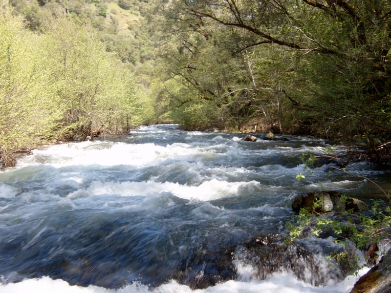 All most done with the whitewater