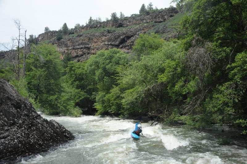 Kayaking Ward's Canyon