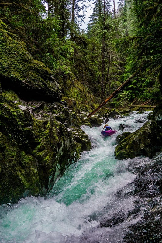  on Santiam, Little North (Upper Opal) @1. Battle Axe Creek to Gold Creek
