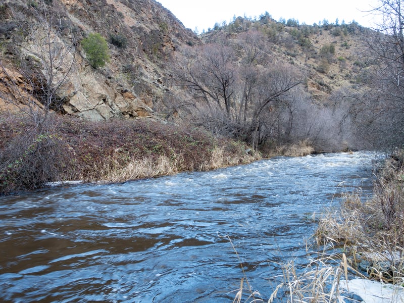 Shasta River at 350 cfs