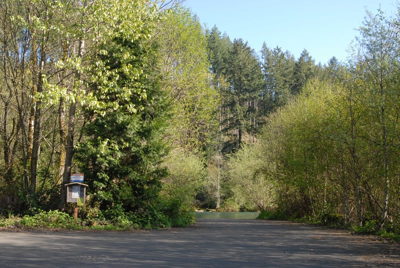 Good Pasture Access