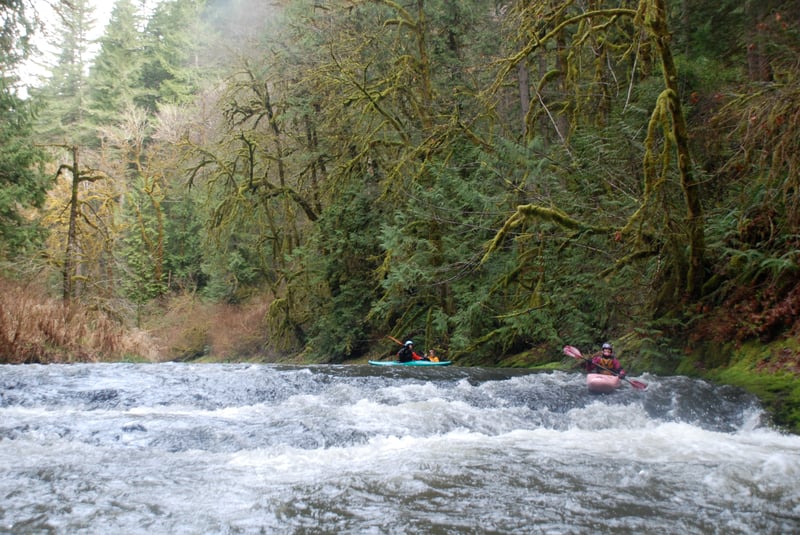 S.F. Alsea