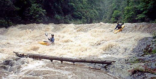 (RM) Third Rapid - Slide