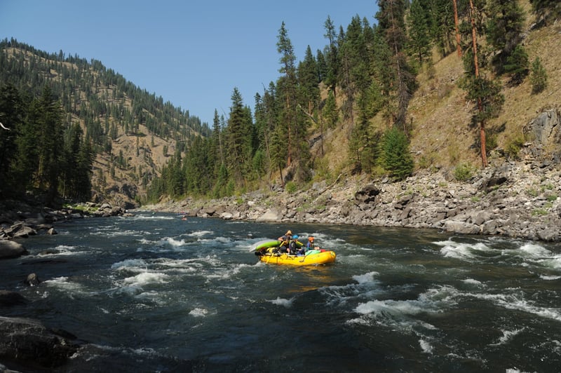 Elkhorn Rapid runout
