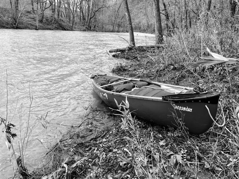 Gotta love a wild river!
